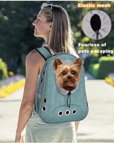 Small Dog Cat Chest Backpack Carrier,Large Space Ventilated Front Facing Backpack Carrier for Puppy,Lightweight Doggy Backpack for Hiking,Camping,Travel,Outdoor,Max 12 lbs(Cyan) - color: Cyan