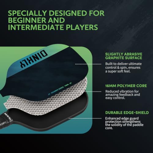 Pickleball Paddles Set of 2/4- USAPA Approved Graphite/Fiberglass Pickleball Racket, 2 Pickleball Rackets, 4 Balls and 1 Portable Carry Bag, Aesthetic Pickle Ball Set for Men Women Beginners - color: 2 Sumie black| Grey | Graphite