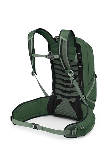 Osprey Talon 22L Men's Lightweight Hiking Backpack - Small Daypack for Travel & Camping, Green Canopy/Pine Leaf, Extended Fit - color: Green Canopy/Pine Leaf, size: 22L - Extended Fit