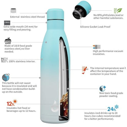 BJPKPK 25 oz Insulated Stainless Steel Water Bottle, Metal Sports Flask - color: Sea Salt, size: 25 Ounces