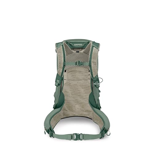 Osprey Stratos 24L Men's Hiking Backpack - Adjustable Daypack with Waterproof Raincover & Bottle Pockets, Pine Leaf - color: Pine Leaf, style: 24l