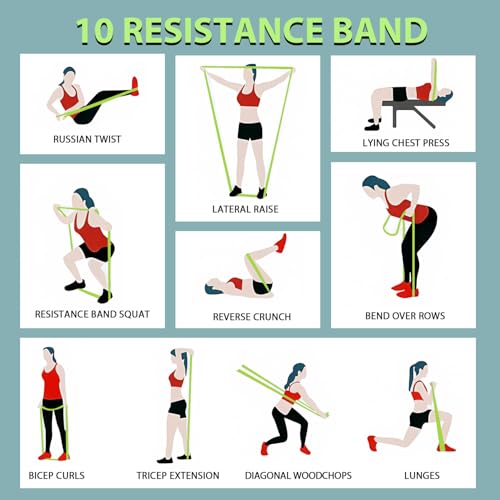 LEEKEY Pull Up Assistance Bands,5-125LB Resistance Bands with Grip、Door Anchor、Gym Bag - Exercise Bands for Full-Body Training, Fitness, Physical Therapy -USA Original Patent - style: 5-125LBS MORANDI
