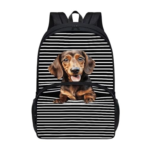 Talayituse Dachshund Stripe Print Bookbag Backpack for Kids Boys Girls Large Capacity Casual School Bags with Bottle Holder Pocket and Adjustable Strap 17 Inch Travel Daypack Back To School Bookbag - color: Dachshund Stripe