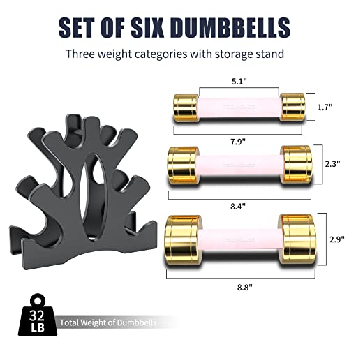 TECHNOAGE Round Dumbbell Sets with Steel Handle, Odorless Neoprene rubber Handle Cover - color: Pink