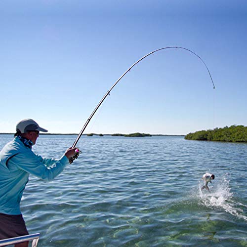Sougayilang Fishing Rod and Reel Set Carbon Fiber Telescopic Fishing Rod 12+1BB Spinning Reel with Carry Case for Saltwater Freshwater - color: silver, size: 8.78 ft - 4000