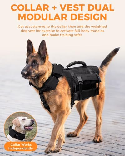Dog Weight Vest for Exercise, Adjustable Dog Training Vest with Pocketed Design, No Weights Included, Reflective Walking and Conditioning Vest for Medium and Large Dogs, M - size: M