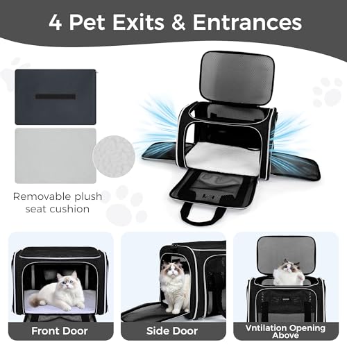 BAGLHER Pet Travel Carrier, Cat Carriers Dog Carrier for Small Medium Cats Dogs Puppies, Airline Approved Small Dog Carrier Soft Sided, Collapsible Puppy Carrier. Black - color: Black, size: Medium