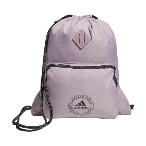 Classic 3S 2.0 Sackpack - color: Preloved Fig Purple/Black