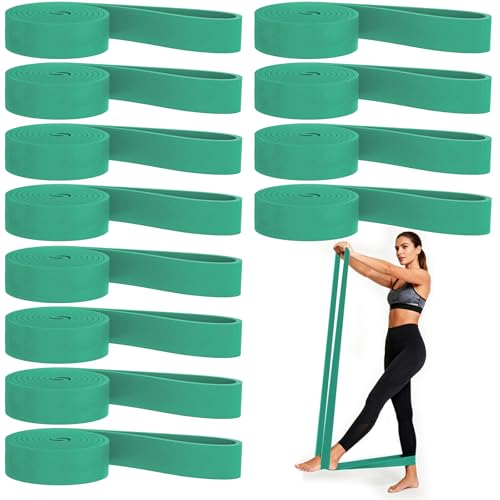 12-Pack Resistance Bands Set - Pull Up Assist, Strength Training & Physical Therapy for Home Gym | Exercise Loop Bands for Men & Women - color: Green 50-125lbs