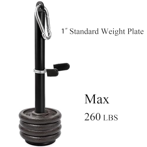 Jucoan Weight Loading Pin for 1 Inch Standard and 2 Inch Weight Plate, Loading Pin with Heavy Duty Carabiner for Cable Pulley System LAT Pulldown Home Gym Workout Equipment