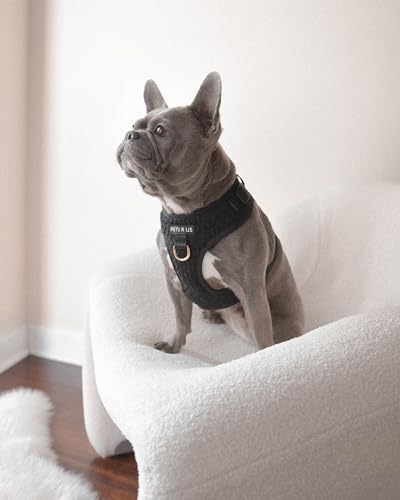 Premium No-Pull Dog Harness Soft Neoprene & Breathable Mesh Vest with Front & Back Clip D-Rings Adjustable Lightweight Walking Harness for Puppies, Small & Medium Dogs (Black Boucle, XS) - color: Black Boucle, size: XS: Neck 10.6-14.2'', Chest 14.2-18.9''