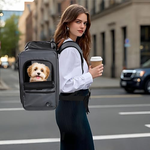 EliteField Deluxe Backpack Pet Carrier (3 Year Warranty, Airline Approved), Travel Soft-Sided Carrier Bag for Dogs, Cats & Small Pets - color: Gray, size: 15.0"L x 13.5"W x 9.0"H