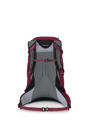 Osprey Hikelite 28L Lightweight Hiking Backpack - Durable Travel Daypack with Rain Cover for Men and Women, Chameleon/Black, M/L - color: Chameleon/Black, size: Medium-Large