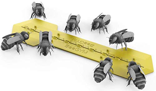 Bee Gym/Slim Gym Combo (1)