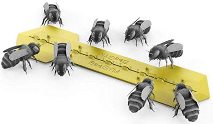 Bee Gym/Slim Gym Combo (1)