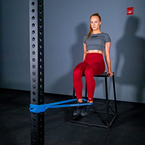 SERIOUS STEEL FITNESS Assisted 41" Pull-Up Band, Resistance & Stretch, Powerlifting & Pull-up Assist Loop (Single Band) - style: #3 (25-80 lbs)