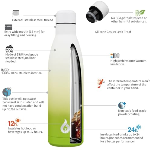 BJPKPK 25 oz Insulated Stainless Steel Water Bottle, Metal Sports Flask - color: Elegant Green, size: 25 Ounces