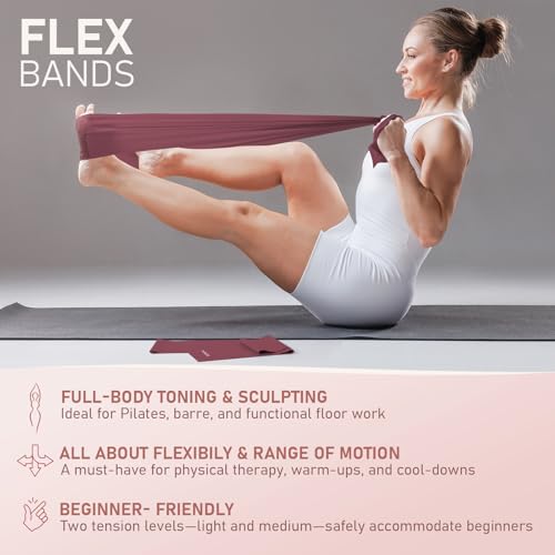 PhysKcal Pilates Kit, 15-Inch Pilates Ring with 1x Core Ball, 3X Resistant Loops and 2X Flex Bands, Home Pilates Equipment Set and Mat Pilates Essential Kit - color: Plum