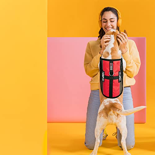 Dogline MaxAire Multi-Purpose Mesh Vest for Dogs and 2 Removable Therapy Dog Patches, Medium, Red - color: Red, size: Girth 17 by 21"