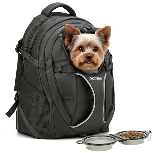 Dog Backpack Carrier for Hiking, Pet Travel Bag up to 18 lbs, 2-in-1 Foldable Cat Backpack with Laptop Compartment, Reinforced Ventilated 600D Nylon Rucksack for Walking Camping Commuting - color: Black