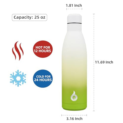 BJPKPK 25 oz Insulated Stainless Steel Water Bottle, Metal Sports Flask - color: Elegant Green, size: 25 Ounces