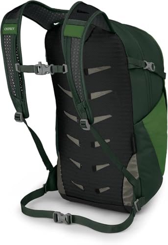 Osprey Daylite Plus Commuter Backpack - Lightweight, Everyday Pack with Laptop Sleeve and Water Bottle Pockets - Ideal for Work, School, and Travel with Versatile Storage, Green Belt/Green Canopy - color: Green Belt/Green Canopy