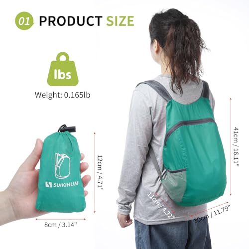 20L Ultra Hiking-Daypack Lightweight Foldable Travel Packable Backpack for Camping Cycling Outdoor,Lake Blue - color: Lake Blue