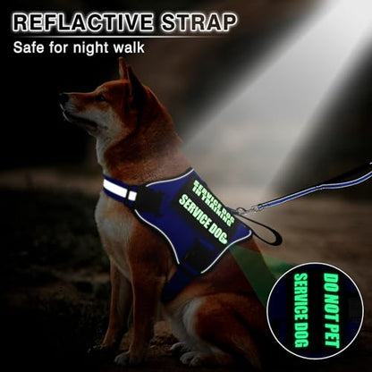 Service Dog Vest Harness and Leash Set+10 Patches,No Pull&Easy Walk Reflective Dog Harness with Soft Padded Handle for Training/Everyday,Fit Small/Medium/Large/Extra-Large Dogs (Blue M) - color: Blue, size: Medium