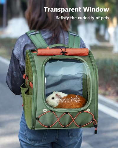 Pecute Small Pet Carrier, Breathable Bearded Dragon Carrier, with Transparent Bubble & Steel Frame, Safety Lock for Hamster, Rabbit, Guinea Pig, Kitten, Puppy, Ideal for Travel/Vet Visits/Camp, Green - color: Green