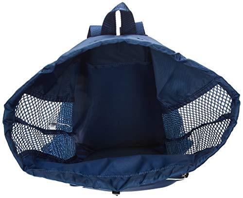 Speedo Unisex-Adult Drawstring Deluxe Ventilator Mesh Equipment Bag - color: Insignia Blue