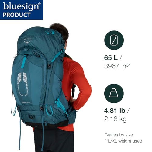 Osprey Atmos AG 65L Men's Backpacking Backpack, Black, L/XL - color: Black, size: Large-X-Large