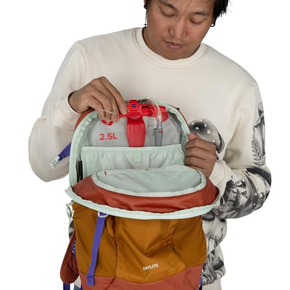 Osprey Daylite Commuter Backpack - Lightweight Everyday Bag with Laptop Sleeve, Bottle Pockets, Iris Pink - color: Iris Pink