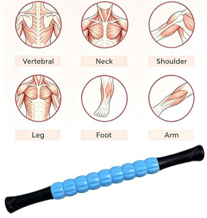 Muscle Roller Stick - A Full-Body Massage Roller that Can Relieve Muscle Soreness, Cramps and Tension After Exercise. It is a Handheld Physical Therapy and Recovery Tool（Black and Blue） - color: Blue