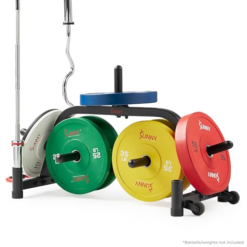 Sunny Health & Fitness Multi-Weight Storage Rack Stand for Dumbbells, Kettlebells, Olympic Weight Plates, Barbell, Medicine Ball - style: Plate & Barbell Rack