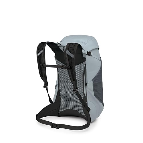 Osprey Hikelite LT 30L Hiking Backpack - Lightweight Travel Daypack with Rain Cover for Men and Women, Silver Lining - color: Silver Lining, style: 30l