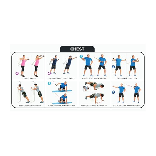 Bodylastics Patented Basic Series Resistance Band Set - Resistance Bands with Snap Reduction Tech, 2 Handles, 2 Ankle Straps, 1 Door Anchor & 1 Carry Bag - color: Workout Guide Poster
