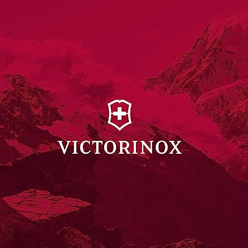 Victorinox Altmont Professional Fliptop Laptop Backpack - Tablet & Laptop Bag for Travel Accessories - Computer Backpack Includes Sleek Organizer - 26 Liters, Black