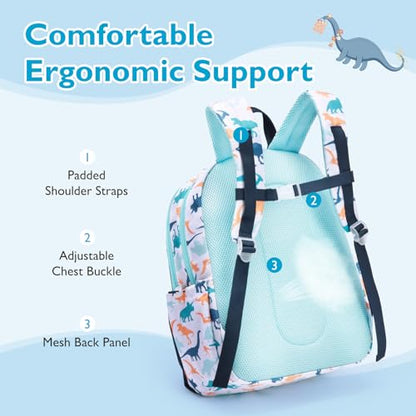 mommore Kids Backpack for Boys Girls 4-8 Kindergarten Elementary School Backpack with Lunch Box - 15” H Fit Folder - color: Blue Dinosaur, style: 2 Pcs