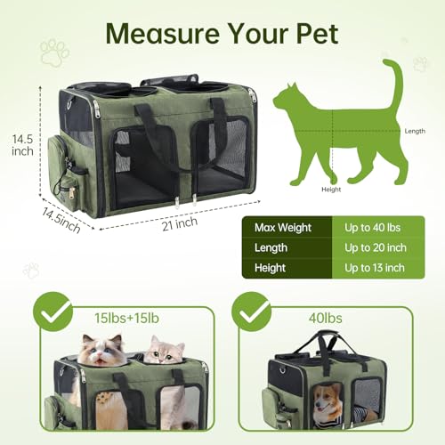 Cat Carrier for 2 Cats - Double Pet Carrier Extra Large, Dual Cabin Multi Cat Travel Carrier with Removable Divider, Collapsible, Can Hold 20 30 40 lbs for Two Small Kitten, Medium Dog Green - color: Green