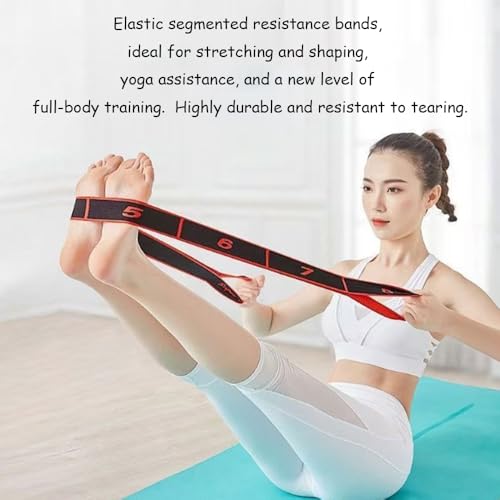 Fitness Resistance Band for Stretching and Yoga,Number Resistance Band,Fitness Resistance Bands with Numbers,Fitness Resistance Bands Numbered,Divided Into Different Tiers/Levels. - color: Blue