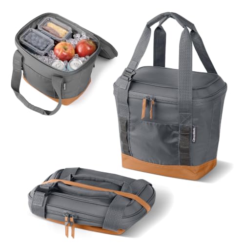 CleverMade Pacifica Collapsible Cooler Bag – Small Portable Cooler Bag for Travel, Foldable Insulated Cooler for Beach, Picnic & Road Trips, Holds Up to 18 Cans, Leakproof Soft Carry Cooler - Gray - color: Charcoal Gray, size: Small