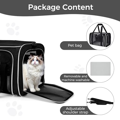 BAGLHER Pet Travel Carrier, Cat Carriers Dog Carrier for Small Medium Cats Dogs Puppies, Airline Approved Small Dog Carrier Soft Sided, Collapsible Puppy Carrier. Black - color: Black, size: Medium