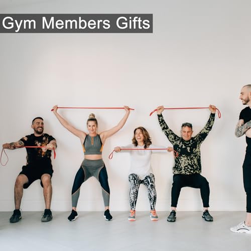 12-Pack Resistance Bands Set - Pull Up Assist, Strength Training & Physical Therapy for Home Gym | Exercise Loop Bands for Men & Women - color: Red 15-35lbs