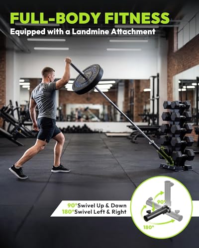 HANDBODE A-Frame Dumbbell Rack Heavy Duty Weight Stand for Dumbbells, Space-Saving Metal Storage Organizer, Sturdy Dumbbell Holder for Home Gym - style: 350 lb Set (10, 20, 25, 30, 40, 50 lb)*2 & Rack