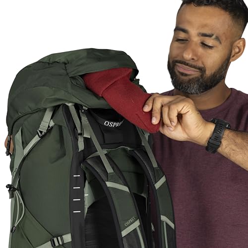 Osprey Talon 44L Men's Lightweight Hiking Backpack - Daypack for Travel & Camping, Green Canopy/Pine Leaf, S/M - color: Green Canopy/Pine Leaf, size: Small-Medium