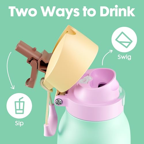 Meoky 24 oz Slim Insulated Water Bottle: Leak Proof Locking Lid, 2-in-1 Straw and Spout, 24 Hours Cold, Top Handle, BPA Free, Stainless Steel Water Bottle for Adults Teens Sports Travel, Lime - color: Lime
