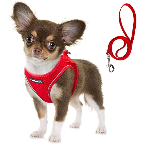 Fida Comfy Dog Harness with Leash, Soft Puppy Vest Escape Proof, Breathable Lightweight Soft Mesh, Adjustable Reflective Step-in Harness for Cat & Extra-Small Pet (XS, Red) - color: Fiery Red, size: XS (Neck:12.2"-13"; Girth:14.2"-16.1")