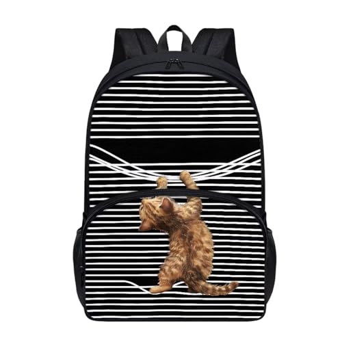 Talayituse Funny Cat Print Backpack Kids School Bags Casual Lightweight Daypack with Adjustable Padded Straps Large Capacity Travel Rucksack Elementary School Students Boobags for School Hiking - color: Funny Cat