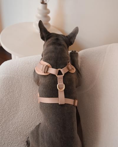 Premium No-Pull Dog Harness Soft Neoprene & Breathable Mesh Vest with Front & Back Clip D-Rings Adjustable Lightweight Walking Harness for Puppies, Small & Medium Dogs (Beige, M) - color: Beige, size: M: Neck=15.4-20.1''/Chest=18.1-24.4''