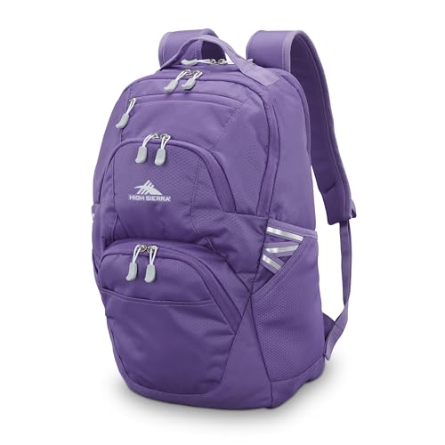 High Sierra Swoop SG Backpack, Travel or Work Laptop Bookbag with Drop Protection Pocket, and Tablet Sleeve, One Size, Light Purple - color: Light Purple